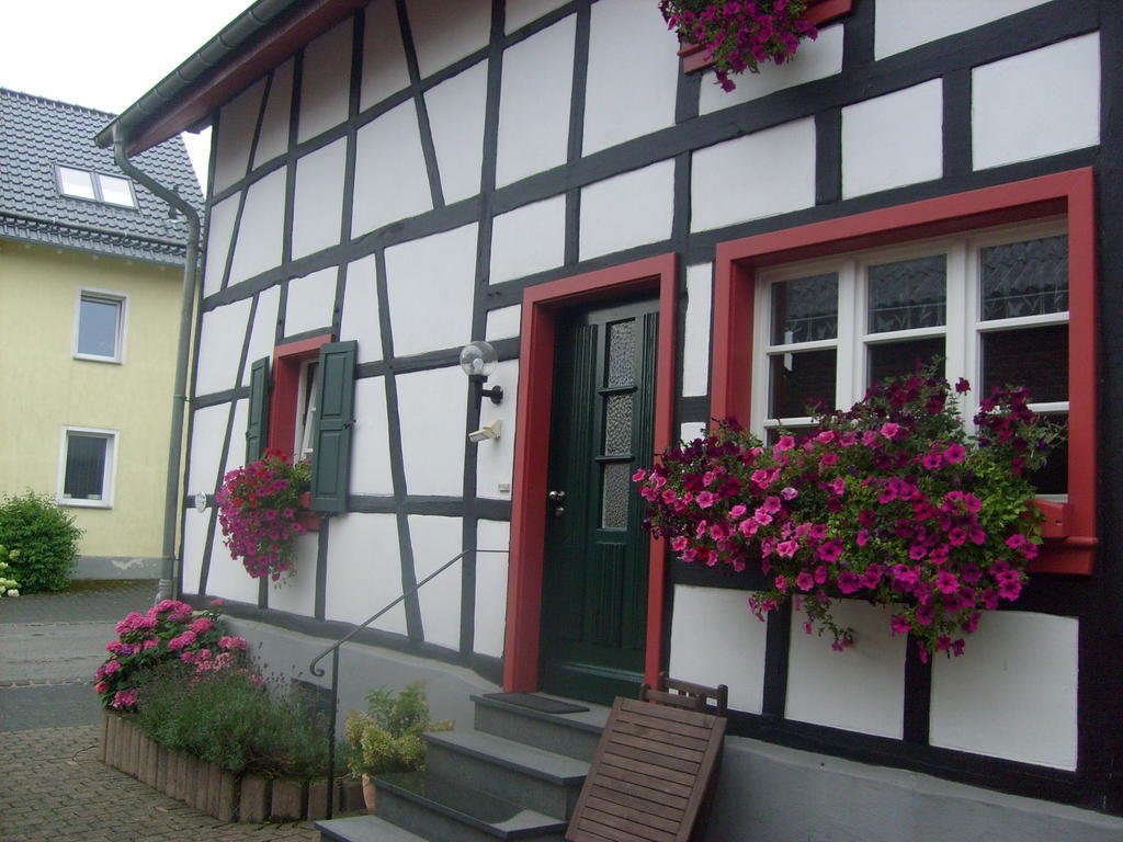 Ferienwohnung Duerbaum Шляйден Номер фото