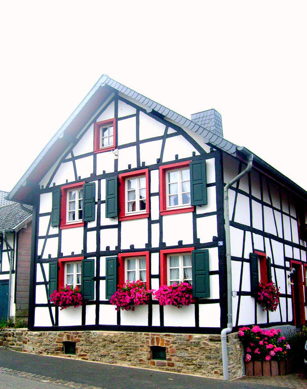 Ferienwohnung Duerbaum Шляйден Номер фото